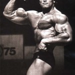 Arnold-Schwarzenegger 27